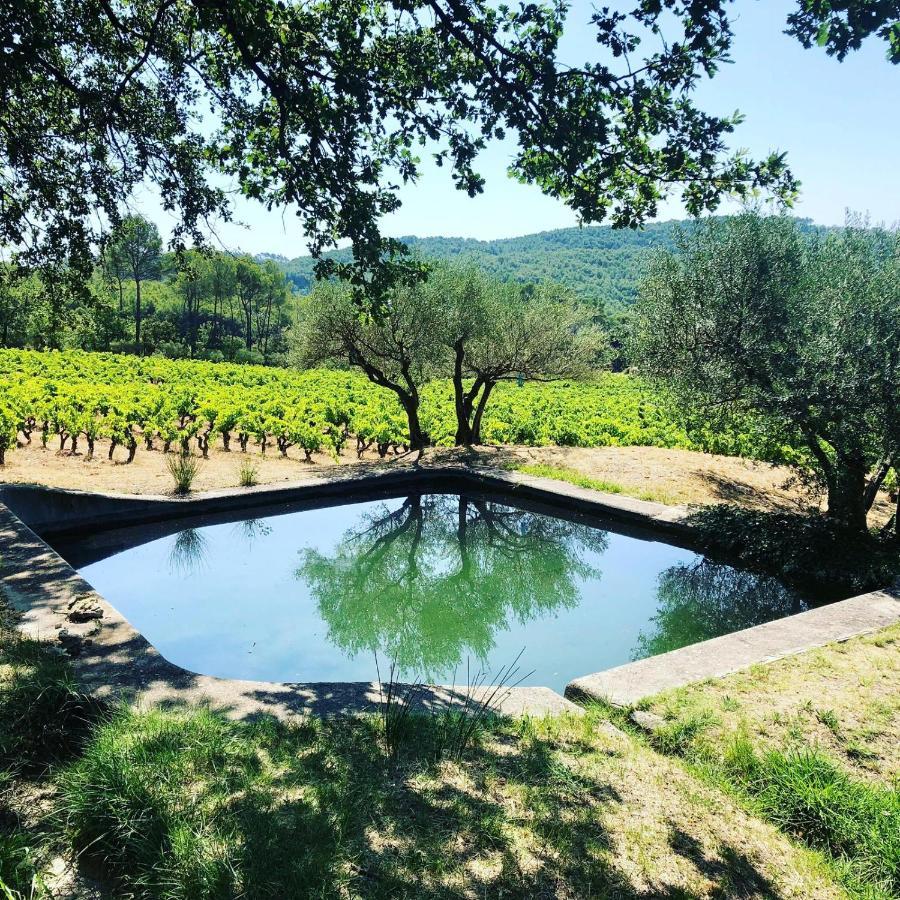 Domaine Du Clos D'Alari-Chambres D'Hotes Au Milieu Des Vignes Saint-Antonin-du-Var Esterno foto