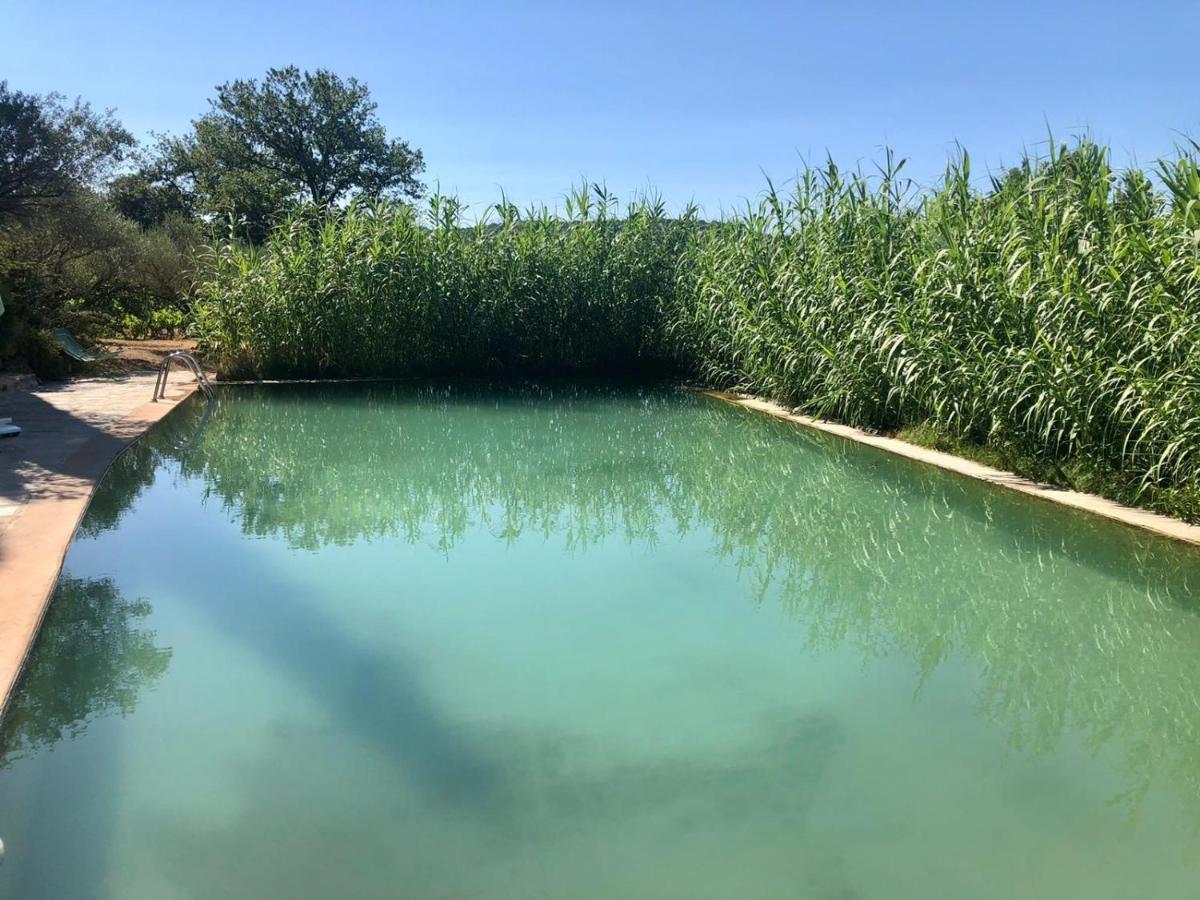Domaine Du Clos D'Alari-Chambres D'Hotes Au Milieu Des Vignes Saint-Antonin-du-Var Esterno foto