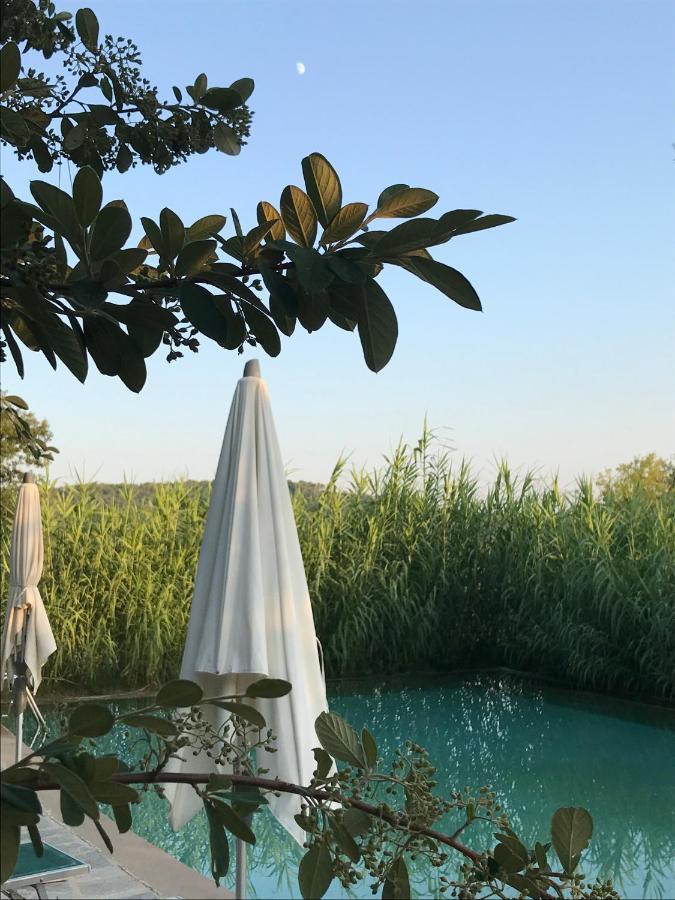 Domaine Du Clos D'Alari-Chambres D'Hotes Au Milieu Des Vignes Saint-Antonin-du-Var Esterno foto