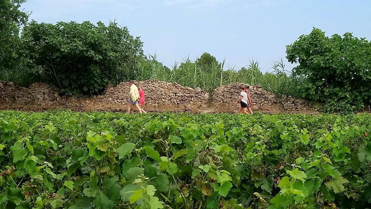 Domaine Du Clos D'Alari-Chambres D'Hotes Au Milieu Des Vignes Saint-Antonin-du-Var Esterno foto