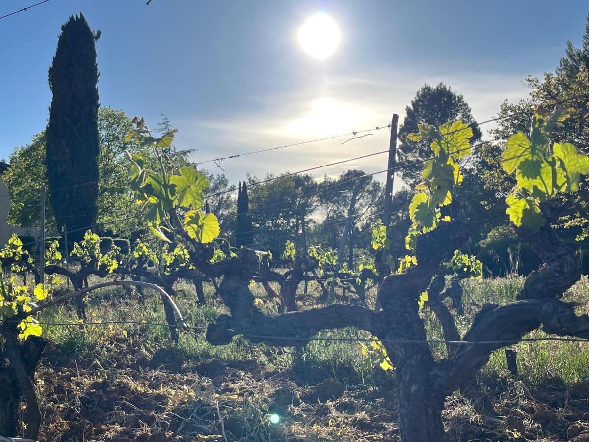 Domaine Du Clos D'Alari-Chambres D'Hotes Au Milieu Des Vignes Saint-Antonin-du-Var Esterno foto